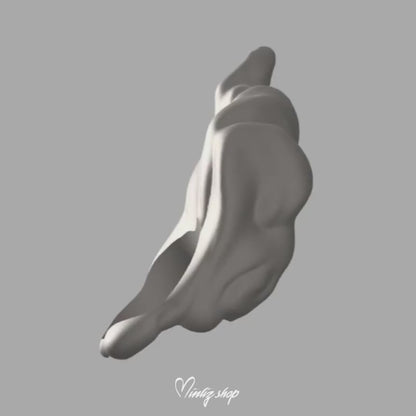 3D Model | Ahri Spirit Blossom Springs League of Legends Accessories